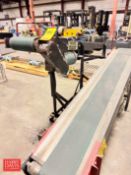 Sections Power Belt Conveyor - Rigging Fee: $150