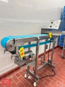 Portable S/S Conveyor: 65