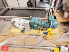 Wright Positive Displacement Pump, Model: 0300 with Reliance Motor and Gear Reducing Drive - Rigging