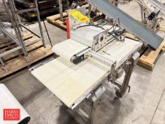 Power Belt Conveyor: 38