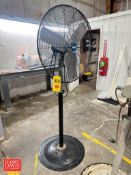 Oscillating Fan - Rigging Fee: $50