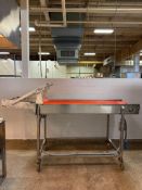 Portable Transfer Conveyor: 12’ x 2’ (Subject to BULK BID: Lot 10A) - Rigging Fee: $250