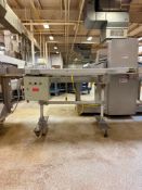 Rondo Transfer Conveyor: 6’ x 2’, Model: PTT150.C, S/N: B7232005 - Rigging Fee: $2,200