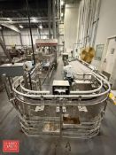 Arrowhead S/S Conveyor with U-Turns, 90° Turns, Transfer and Accumation Section: 21' with AEI
