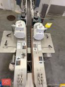 Conveyor System: 23' x 3