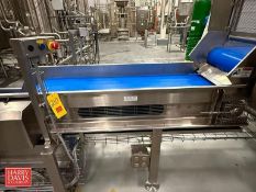 Bertocchi Inspection Conveyor: 30