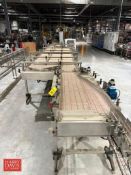 Zambelli Packaging 3-Lane Belt Accumulation Table with (3) Belts: 40' x 20