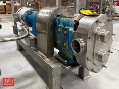 Positive Displacement Pump Skid with 10 HP Drive: Mounted on S/S Base