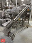 S/S Auger Elevator: 6