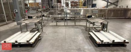 Clean Move S/S Self-Powered Bi-Directional Belt Conveyor System, Including: (2) S/S Accumulation