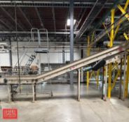 HK Systems Belt Conveyor, Including: Straight Section, Inclined Section: 60