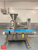 S/S Depositor with Ampco Positive Displacement Pump, Model: ZP1-034-SO with 1 HP 1,740/1,440 Variabl