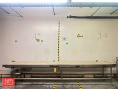 S/S Framed Belt Conveyor: 190