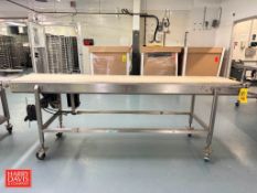 S/S Framed Belt Conveyor: 102