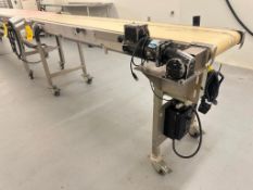 S/S Framed Belt Conveyor: 82