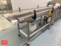 S/S Belt Conveyor: 76