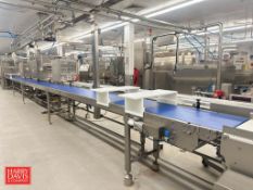 2021 GEA S/S Framed Belt Conveyor: 54' x 19