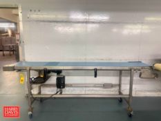 S/S Framed Belt Conveyor: 99