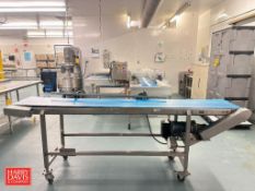 S/S Framed Belt Conveyor: 100