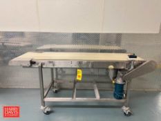 S/S Framed Belt Conveyor: 76