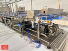 2021 Gorreri S/S Conveyor: 220