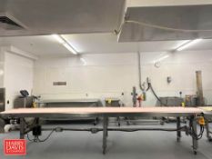 S/S Framed Belt Conveyor: 16' x 21