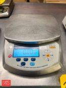 KiloTech S/S Table Top Digital Scale: 8