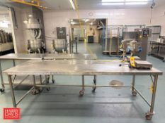 S/S Table: 8' x 3': Mounted on Casters (Scale Not Included)