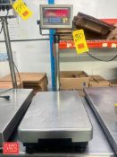 Interweigh Systems S/S Table Top Digital Scale: 16