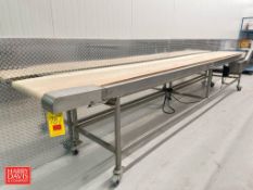 S/S Framed Conveyor: 197