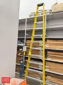 Werner Fiberglass Ladder: 12'