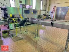 S/S Frame Product Conveyor: 14' with (2) Sections, (2) Drives and Plastic Table Top Chains: 3.25