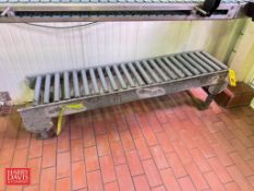 Roller Conveyor Section (Location: Uniontown, PA)