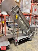 S/S Frame Incline Conveyor: 96