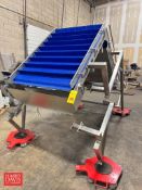 S/S Frame Elevating Conveyor: 43