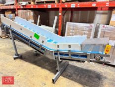 S/S Frame Inclined Belt: 139