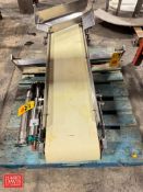 S/S Power Belt Conveyor: 53