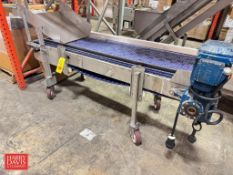 S/S Frame Power Conveyor: 79