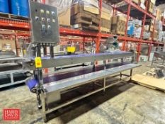 S/S Double Transfer Conveyor: 139