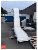 S/S Vibratory Feeder: 8' x 24