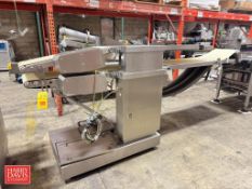 Weber S/S Frame Dual Belt Conveyor System: 132