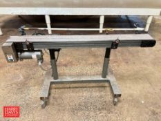 Portable Conveyor with Variable Speed Drive