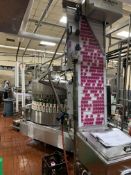 BULK BID (Lots: 3B-3G) Filling Line: 8oz - 32oz Small Bottles with 40-Valve Rotary Filler, 12-Head