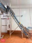 S/S Flighted Incline Belt Conveyor: 12’ Length x 15” Width with Drive