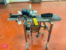 Portable S/S Belt Conveyor: 48