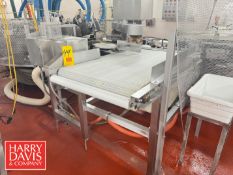 Cryovac S/S Belt Conveyor: 48” Length x 28” Width with Drive