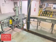 Conveyor Lane Unit with Drive (Location: Allentown, PA)