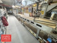 Tuttle S/S Frame Belt Conveyor: 21' Length x 29'' Width with Drive (Location: Allentown, PA)