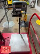 Ohaus Defender 5000 250 LB Capacity S/S Scale: 18