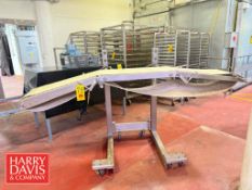 Weber S/S Portable Belt Conveyor: 96
